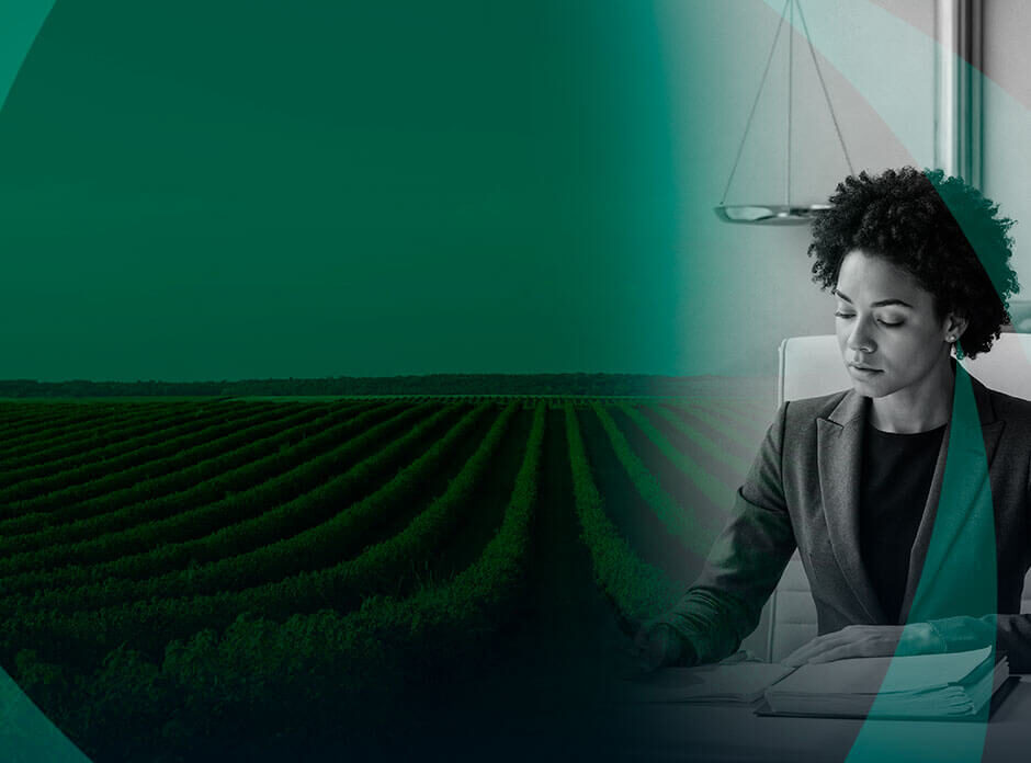 Circuito de Carreiras BAIANA 2025